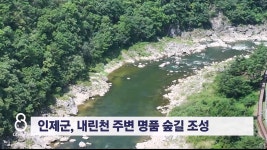 인제군, 내린천 주변 명품 숲길 조성