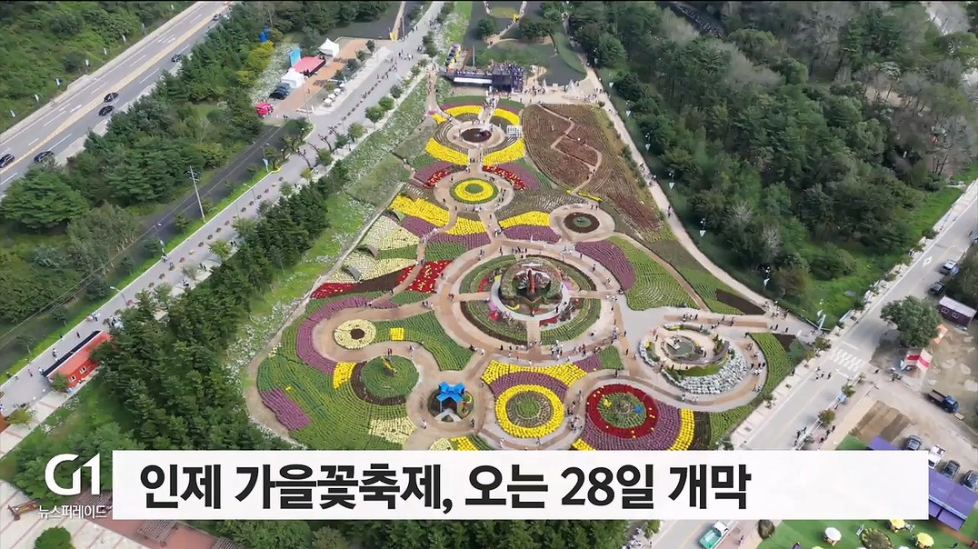 인제 가을꽃축제, 용대관광지서 다채로운 꽃들로 아름다운 풍경 감상
