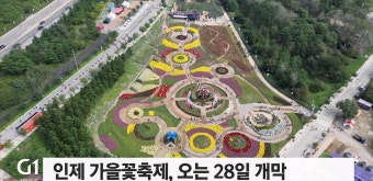 인제 가을꽃축제, 오는 28일 개막