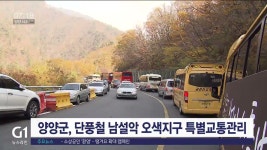 양양군, 단풍철 남설악 오색지구 특별교통관리