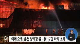 어제 오후, 춘천 양계장 불..닭 17만 마리 소사