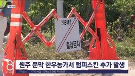 원주 문막 한우농가서 럼피스킨 추가 발생