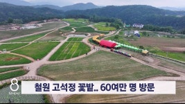 철원 고석정 꽃밭..60여만 명 방문