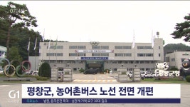 평창군, 농어촌버스 노선 전면 개편