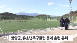 양양군, 유소년축구클럽 동계 훈련 유치