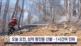 오늘 오전 삼척 평전동 야산서 산불..1시간여 만에 진화