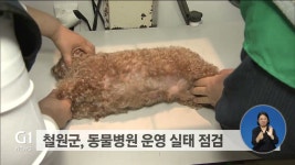 철원군, 동물병원 운영 실태 점검