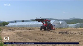 횡성군 석화2리 IOT 기반 농작업 안전 마을 선정
