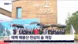 태백 매봉산 천상의 숲 개장