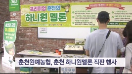 춘천원예농협, 춘천 하니원멜론 직판 행사 개최