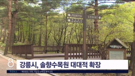 강릉시, 솔향수목원 대대적 확장