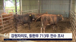 강원자치도, 칡한우 713두 전수 조사
