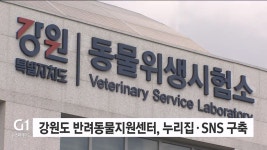 강원도 반려동물지원센터, 누리집·SNS 구축