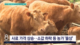 횡성군, 전국 첫 농축임업 반값자재 구축