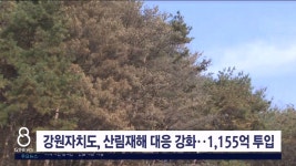 강원자치도, 산림재해 대응 강화..1,155억 투입