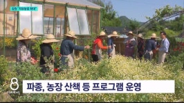 농업으로 치유..강원 치유농업 확대