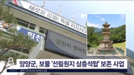 양양군, 보물 선림원지 삼층석탑 보존 사업 추진