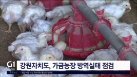 강원자치도, 가금농장 방역실태 점검