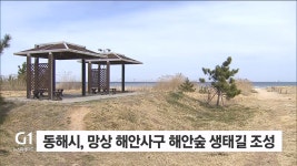 동해시, 망상 해안사구 해안숲 생태길 조성
