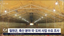 철원군, 축산 분야 국·도비 사업 수요 조사