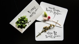 [인터뷰] 마음속 공간을 캘리그라피의 감성으로 디자인하다, 공간캘리
