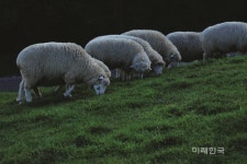 우리도 당당한 사진작가