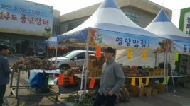 인천 강화군, 로컬푸드 풍년장터에 놀러오세요