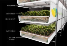 75%나 효율 높은 야채 재배 공장?