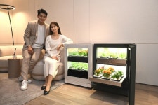 LG전자, 식물생활가전 LG 틔운 오브제컬렉션 구독 서비스로 이용