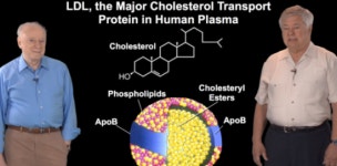 여럿이서 효율적으로 생각하기