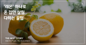 ‘레몬’ 하나로 온 집안 살림 다하는 꿀팁