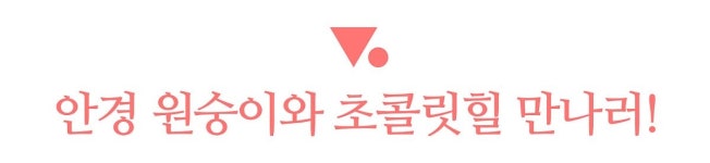 보홀 자유여행 후기: 보홀여행 알짜팁 대방출