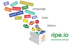 2018년에 주목해야 할 블록체인 스타트업 TOP 8