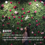 봄이 온 게 느껴지나요? 전국 플라워 카페 BEST 6