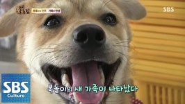 ‘중국제 짝퉁’ 복제 건프라를 아시나요?