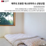 나 혼자 잔다! 싱글룸이 있는 제주도 게스트하우스 7곳