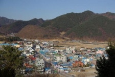 시골상회에 왜 발길이 끊이질 않지?