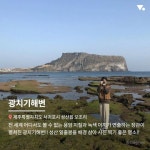 인생샷의 성지! 제주도 포토 스팟 베스트7