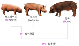 서울대 푸드비즈랩 문정훈 교수의 ‘설 명절 선물 레어템’ 추천 5선