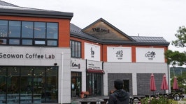 감자, 옥수수로 커피를 만든다고? 강릉 카페 BEST 8
