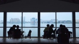 감자, 옥수수로 커피를 만든다고? 강릉 카페 BEST 8