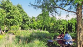 귤수저가 추천하는 제주 카페 5