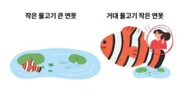 용의 꼬리보다 뱀의 머리가 되는 게 좋은 이유