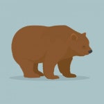 변덕스럽고 충동적이고 촐랑거리는 성격이라면 주식보다 부동산이 낫다