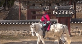 동물농장, 양동마을을 뒤흔드는 불량마 카이…할아버지와의 아찔한 일상 공개