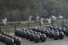 생생정보 오늘의 맛집...죽장연, 의정부부대찌개 캠프306 外