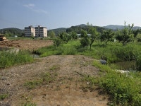 영종 운북동 백운로 일대 배수 불량 심각… 침수·악취 우려 커져