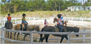 승마장 500곳, 2만원으로 즐기는 곳도 많은데 …