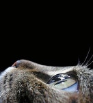 일상에서 마주친 멋진 세상들