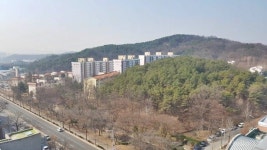 [설문]대덕 허파 매봉산 보전···과학기술계 의견은?